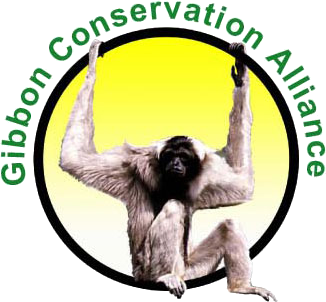 Gibbon Conservation Alliance
